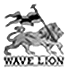 WAVE LION サーフボード
